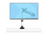 StarTech.com Monitor Desk Mount, VESA 75x75/100x100, 27/30-inch Screens - Framsidan