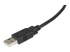 StarTech.com 1,8 m Certifierad USB 2.0 A- till B-kabel - Närbild