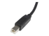 StarTech.com 1,8 m Certifierad USB 2.0 A- till B-kabel - Närbild